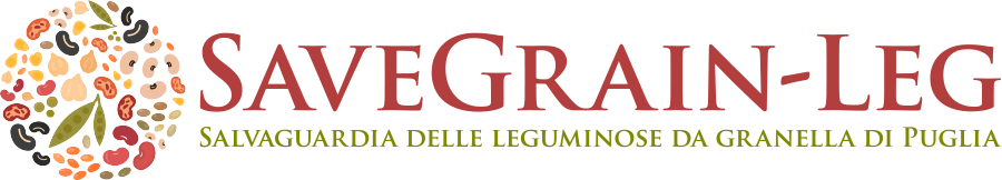 Il progetto - logo